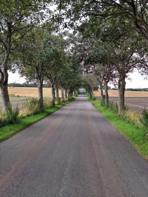 Radreise Dänemark 2024 #241, Süddänemark, Mittel-Jütland, Nordjütland, August 2024 Radreise Dänemark 2024 #241, Süddänemark, Mittel-Jütland, Nordjütland, August 2024