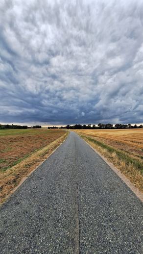 Radreise Dänemark 2024 #244, Süddänemark, Mittel-Jütland, Nordjütland, August 2024 Radreise Dänemark 2024 #244, Süddänemark, Mittel-Jütland, Nordjütland, August 2024