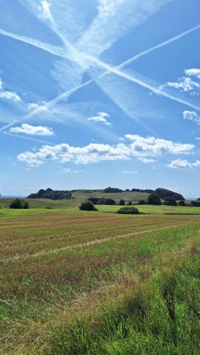 Radreise Dänemark 2024 #250, Süddänemark, Mittel-Jütland, Nordjütland, August 2024 Radreise Dänemark 2024 #250, Süddänemark, Mittel-Jütland, Nordjütland, August 2024