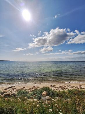 Radreise Dänemark 2024 #253, Süddänemark, Mittel-Jütland, Nordjütland, August 2024 Radreise Dänemark 2024 #253, Süddänemark, Mittel-Jütland, Nordjütland, August 2024