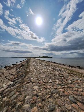 Radreise Dänemark 2024 #256, Süddänemark, Mittel-Jütland, Nordjütland, August 2024 Radreise Dänemark 2024 #256, Süddänemark, Mittel-Jütland, Nordjütland, August 2024