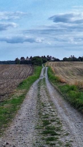 Radreise Dänemark 2024 #263, Süddänemark, Mittel-Jütland, Nordjütland, August 2024 Radreise Dänemark 2024 #263, Süddänemark, Mittel-Jütland, Nordjütland, August 2024