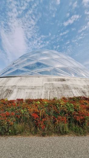 Radreise Dänemark 2024 #272, Süddänemark, Mittel-Jütland, Nordjütland, August 2024 Radreise Dänemark 2024 #272, Süddänemark, Mittel-Jütland, Nordjütland, August 2024