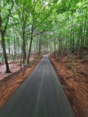 Radreise Dänemark 2024 #296, Süddänemark, Mittel-Jütland, Nordjütland, August 2024 Radreise Dänemark 2024 #296, Süddänemark, Mittel-Jütland, Nordjütland, August 2024