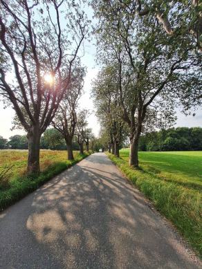 Radreise Dänemark 2024 #302, Süddänemark, Mittel-Jütland, Nordjütland, August 2024 Radreise Dänemark 2024 #302, Süddänemark, Mittel-Jütland, Nordjütland, August 2024