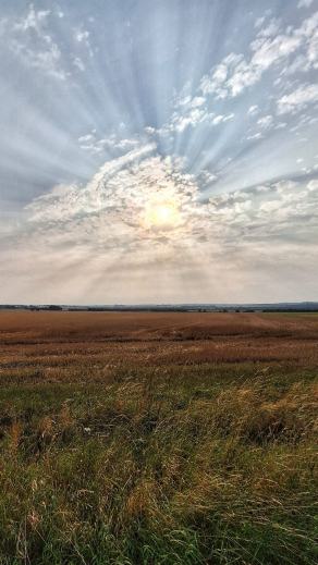 Radreise Dänemark 2024 #305, Süddänemark, Mittel-Jütland, Nordjütland, August 2024 Radreise Dänemark 2024 #305, Süddänemark, Mittel-Jütland, Nordjütland, August 2024