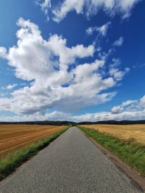 Radreise Dänemark 2024 #310, Süddänemark, Mittel-Jütland, Nordjütland, August 2024 Radreise Dänemark 2024 #310, Süddänemark, Mittel-Jütland, Nordjütland, August 2024