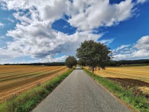 Radreise Dänemark 2024 #311, Süddänemark, Mittel-Jütland, Nordjütland, August 2024 Radreise Dänemark 2024 #311, Süddänemark, Mittel-Jütland, Nordjütland, August 2024