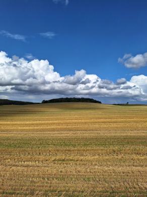 Radreise Dänemark 2024 #312, Süddänemark, Mittel-Jütland, Nordjütland, August 2024 Radreise Dänemark 2024 #312, Süddänemark, Mittel-Jütland, Nordjütland, August 2024