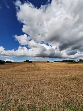 Radreise Dänemark 2024 #313, Süddänemark, Mittel-Jütland, Nordjütland, August 2024 Radreise Dänemark 2024 #313, Süddänemark, Mittel-Jütland, Nordjütland, August 2024