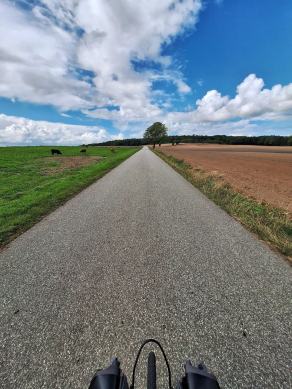 Radreise Dänemark 2024 #314, Süddänemark, Mittel-Jütland, Nordjütland, August 2024 Radreise Dänemark 2024 #314, Süddänemark, Mittel-Jütland, Nordjütland, August 2024