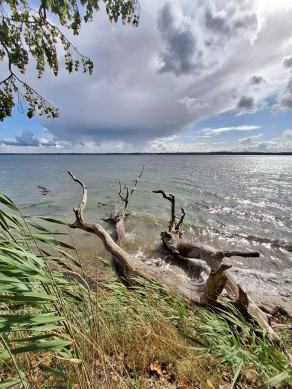 Radreise Dänemark 2024 #320, Süddänemark, Mittel-Jütland, Nordjütland, August 2024 Radreise Dänemark 2024 #320, Süddänemark, Mittel-Jütland, Nordjütland, August 2024