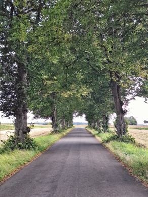 Radreise Dänemark 2024 #323, Süddänemark, Mittel-Jütland, Nordjütland, August 2024 Radreise Dänemark 2024 #323, Süddänemark, Mittel-Jütland, Nordjütland, August 2024