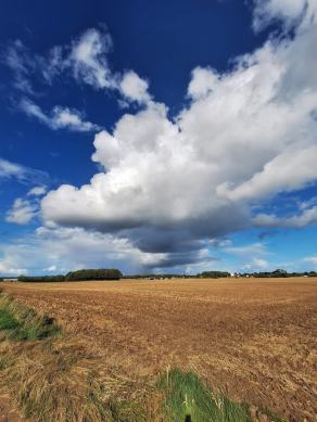 Radreise Dänemark 2024 #324, Süddänemark, Mittel-Jütland, Nordjütland, August 2024 Radreise Dänemark 2024 #324, Süddänemark, Mittel-Jütland, Nordjütland, August 2024