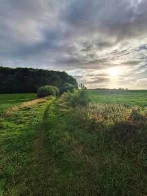Radreise Dänemark 2024 #326, Süddänemark, Mittel-Jütland, Nordjütland, August 2024 Radreise Dänemark 2024 #326, Süddänemark, Mittel-Jütland, Nordjütland, August 2024