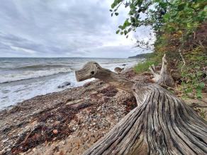 Radreise Dänemark 2024 #331, Süddänemark, Mittel-Jütland, Nordjütland, August 2024 Radreise Dänemark 2024 #331, Süddänemark, Mittel-Jütland, Nordjütland, August 2024