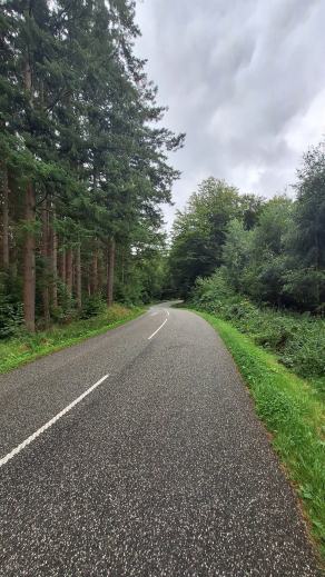 Radreise Dänemark 2024 #340, Süddänemark, Mittel-Jütland, Nordjütland, August 2024 Radreise Dänemark 2024 #340, Süddänemark, Mittel-Jütland, Nordjütland, August 2024