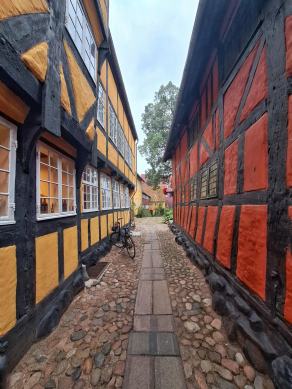 Radreise Dänemark 2024 #344, Süddänemark, Mittel-Jütland, Nordjütland, August 2024 Radreise Dänemark 2024 #344, Süddänemark, Mittel-Jütland, Nordjütland, August 2024