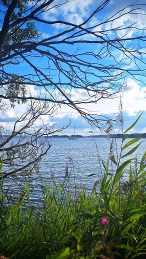 Radreise Dänemark 2025 #8, Fyn, Sjælland, Møn, Lolland, Langeland, Ærø, August 2025