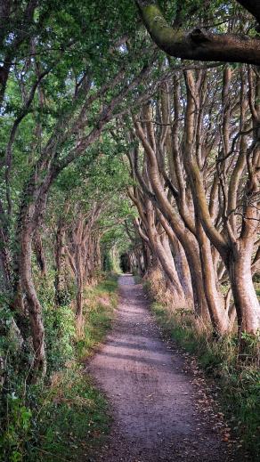 Radreise Dänemark 2025 #9, Fyn, Sjælland, Møn, Lolland, Langeland, Ærø, August 2025