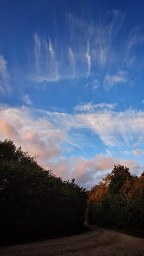 Radreise Dänemark 2025 #13, Fyn, Sjælland, Møn, Lolland, Langeland, Ærø, August 2025