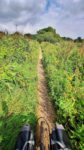 Radreise Dänemark 2025 #16, Fyn, Sjælland, Møn, Lolland, Langeland, Ærø, August 2025