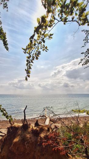 Radreise Dänemark 2025 #22, Fyn, Sjælland, Møn, Lolland, Langeland, Ærø, August 2025