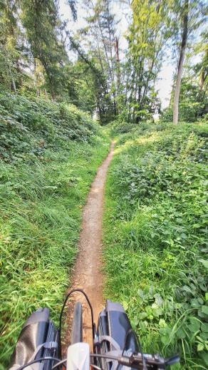 Radreise Dänemark 2025 #23, Fyn, Sjælland, Møn, Lolland, Langeland, Ærø, August 2025