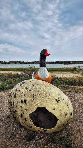 Radreise Dänemark 2025 #30, Fyn, Sjælland, Møn, Lolland, Langeland, Ærø, August 2025