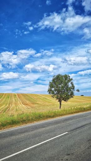Radreise Dänemark 2025 #39, Fyn, Sjælland, Møn, Lolland, Langeland, Ærø, August 2025