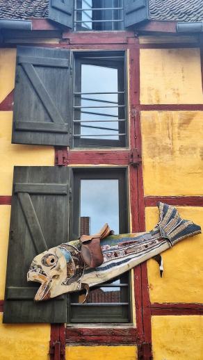 Radreise Dänemark 2025 #47, Fyn, Sjælland, Møn, Lolland, Langeland, Ærø, August 2025