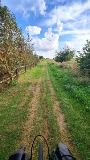 Radreise Dänemark 2025 #49, Fyn, Sjælland, Møn, Lolland, Langeland, Ærø, August 2025