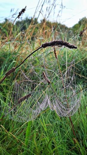 Radreise Dänemark 2025 #55, Fyn, Sjælland, Møn, Lolland, Langeland, Ærø, August 2025