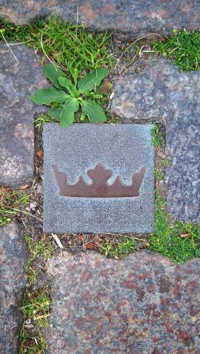 Radreise Dänemark 2025 #61, Fyn, Sjælland, Møn, Lolland, Langeland, Ærø, August 2025