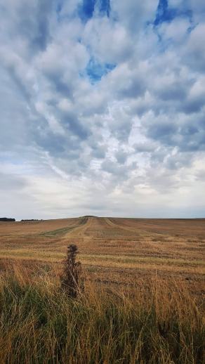 Radreise Dänemark 2025 #66, Fyn, Sjælland, Møn, Lolland, Langeland, Ærø, August 2025