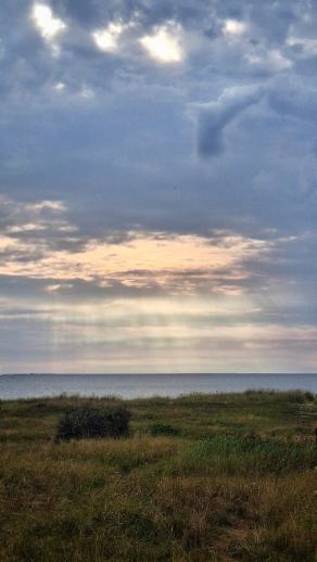 Radreise Dänemark 2025 #69, Fyn, Sjælland, Møn, Lolland, Langeland, Ærø, August 2025