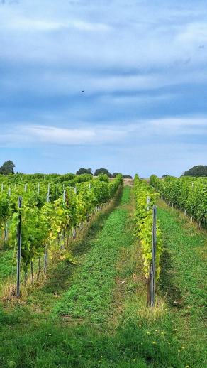 Radreise Dänemark 2025 #77, Fyn, Sjælland, Møn, Lolland, Langeland, Ærø, August 2025