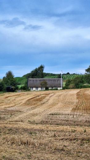 Radreise Dänemark 2025 #78, Fyn, Sjælland, Møn, Lolland, Langeland, Ærø, August 2025