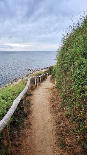 Radreise Dänemark 2025 #80, Fyn, Sjælland, Møn, Lolland, Langeland, Ærø, August 2025