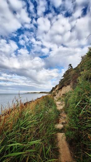 Radreise Dänemark 2025 #84, Fyn, Sjælland, Møn, Lolland, Langeland, Ærø, August 2025