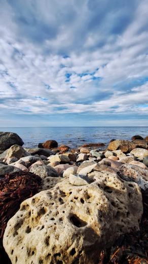 Radreise Dänemark 2025 #86, Fyn, Sjælland, Møn, Lolland, Langeland, Ærø, August 2025