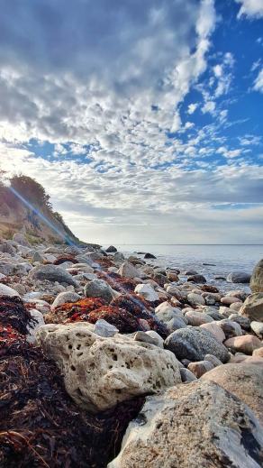 Radreise Dänemark 2025 #87, Fyn, Sjælland, Møn, Lolland, Langeland, Ærø, August 2025