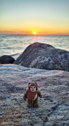 Radreise Dänemark 2025 #93, Fyn, Sjælland, Møn, Lolland, Langeland, Ærø, August 2025