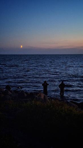 Radreise Dänemark 2025 #97, Fyn, Sjælland, Møn, Lolland, Langeland, Ærø, August 2025