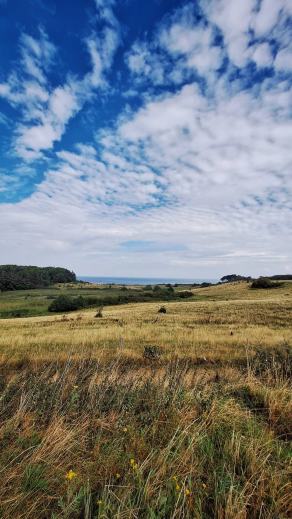 Radreise Dänemark 2025 #109, Fyn, Sjælland, Møn, Lolland, Langeland, Ærø, August 2025