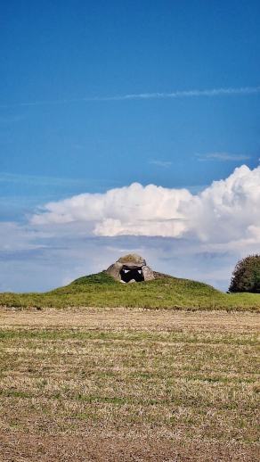 Radreise Dänemark 2025 #112, Fyn, Sjælland, Møn, Lolland, Langeland, Ærø, August 2025
