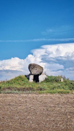Radreise Dänemark 2025 #113, Fyn, Sjælland, Møn, Lolland, Langeland, Ærø, August 2025