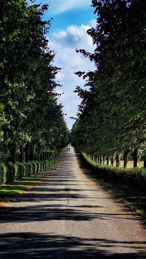 Radreise Dänemark 2025 #123, Fyn, Sjælland, Møn, Lolland, Langeland, Ærø, August 2025