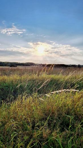 Radreise Dänemark 2025 #129, Fyn, Sjælland, Møn, Lolland, Langeland, Ærø, August 2025