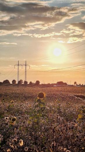 Radreise Dänemark 2025 #131, Fyn, Sjælland, Møn, Lolland, Langeland, Ærø, August 2025